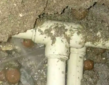 潍坊测漏水多少钱