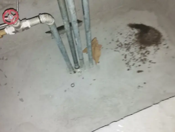 潍坊卫生间测漏水价格明细