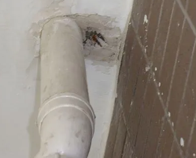 潍坊漏水检测哪家好